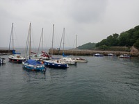 picture of boat