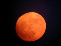 Strawberry Moon