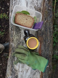picture of a meals