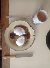 picture of a meals