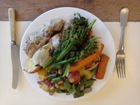 picture of a meals