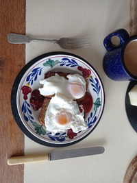 picture of a meals
