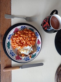 picture of a meals