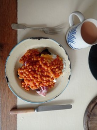 meal picture