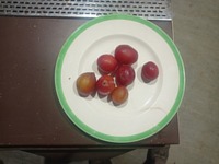 meal picture