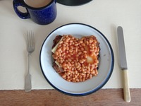 meal picture
