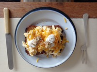 meal picture