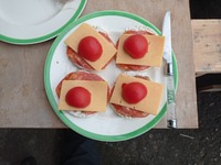 meal picture