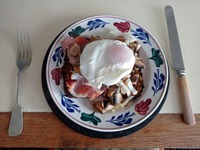 meal picture