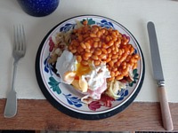 meal picture