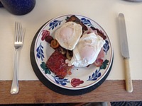 meal picture