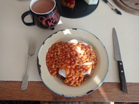 meal picture