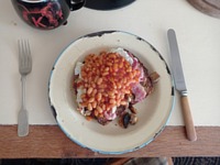 meal picture
